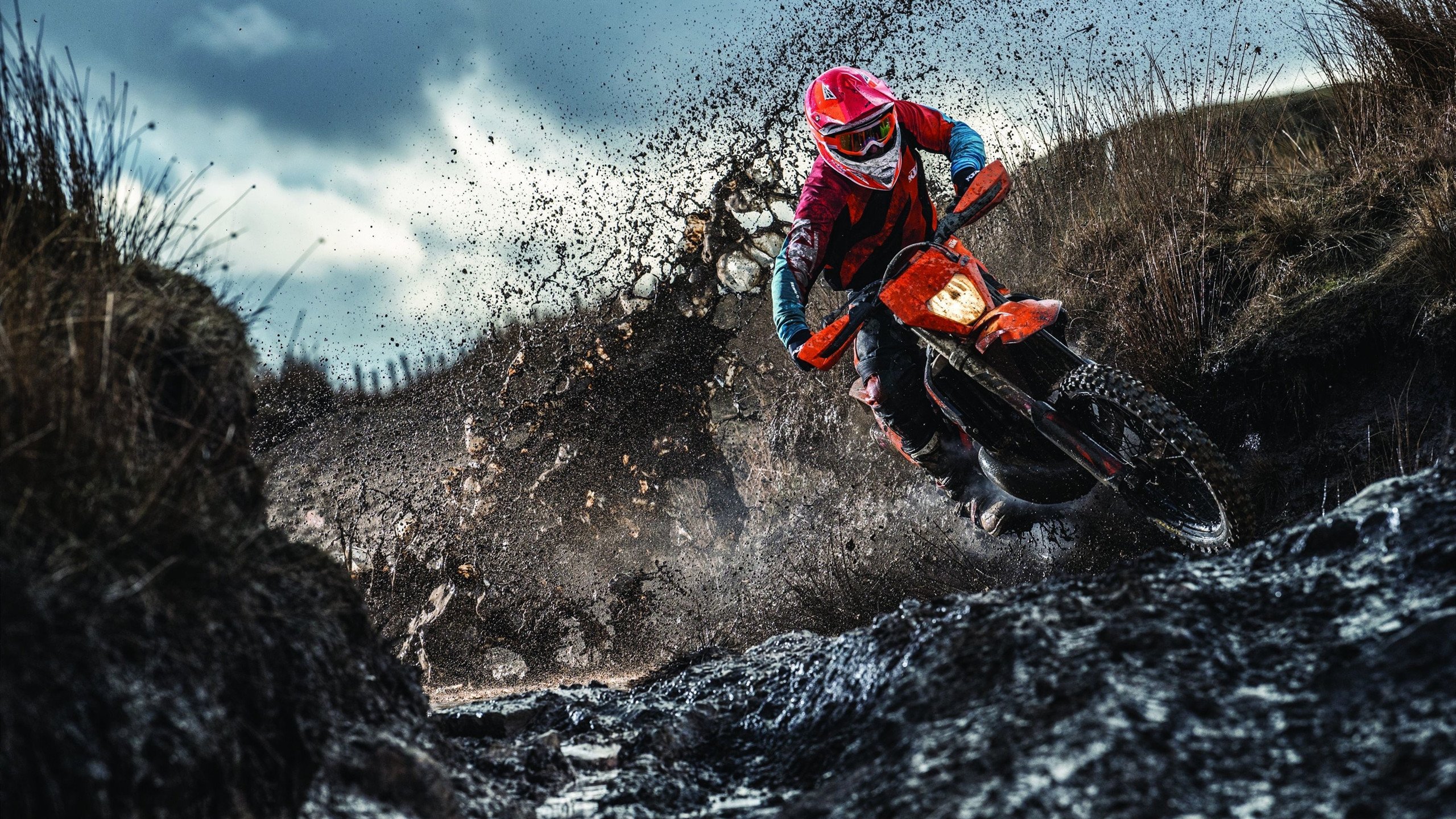 大坂直美十二连胜打破质疑，C9团队极限挑战赛燃爆全球！